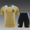 24/25 Argentina golden Training Kits - Image 9