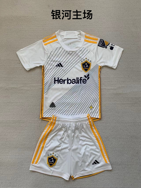 Adults kits 24/25 Los Angeles Galaxy home - Image 1