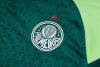24/25 Palmeiras deep green Tracksuit - Image 19