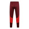 24/25 Brazil Internacional red half zip Tracksuit - Image 26