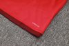 24/25 Brazil Internacional red half zip Tracksuit - Image 39