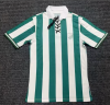 Fans Version 26/27 Al-Jidda United green