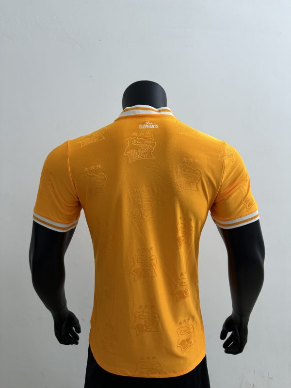 Player Version 25/26 Ivory Coast team logo orange player - Image 2