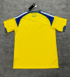 Fans Version 26/27 Sweden home - Image 2