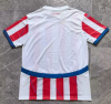 Fans version 24/25 Paraguay Home - Image 2