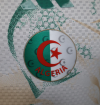 Player Version 26/27 Algeria Special Edition - Image 5