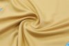 24/25 Argentina golden half zip Tracksuit - Image 8