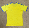 Fans Version 26/27 Ukraine Home - Image 2