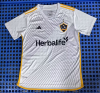 Fans Version 25/26 Los Angeles Galaxy home