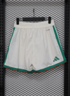 Player Version 26/27 Algeria shorts - Image 2