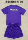 Adults kits 25/26 Feyenoord purple goalkeeper - Image 2