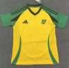 Fans Version 24/25 jamaica home