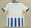 Fans version 24/25 Brighton home - Image 3