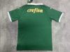 Fans Version 24/25 Palmeiras home - Image 2