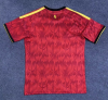 Fan version 25/26 Belgium Home - Image 2