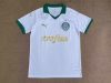 Fans Version 24/25 Palmeiras away