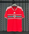 Fan version 26/27 Wales home
