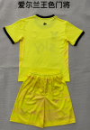 Adults kits 26/27 Irish King Goalkeeper - Image 2