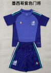 Adults kits 26/27 Mexican Purple Goalkeeper