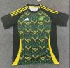 Fans Version 24/25 jamaica away