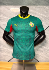 Player Version 26/27 Senegal away 2 star edition