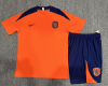 24/25 Netherlands orange Kid Training Kits - Image 3