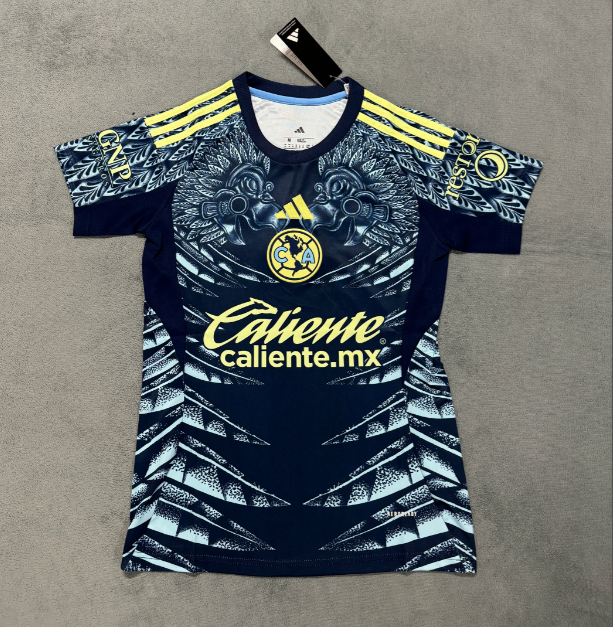 Fans Version 25/26 American away women - Image 1
