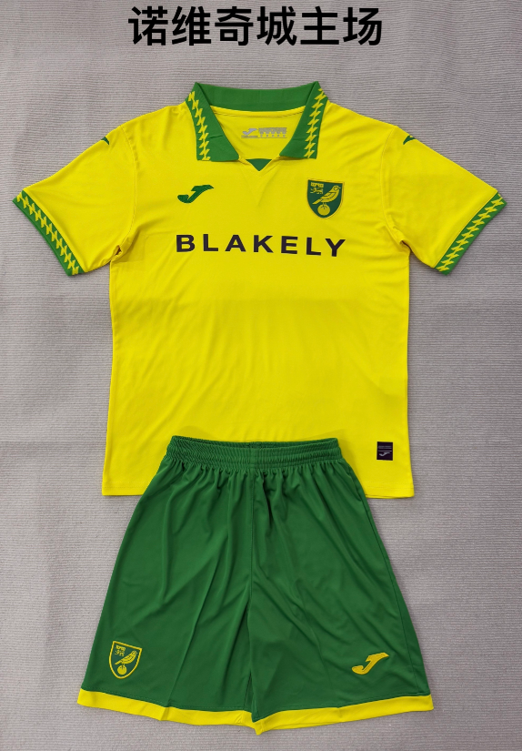 Adults kits 25/26 Norwich City home - Image 1