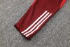 24/25 Brazil Internacional red half zip Tracksuit - Image 16