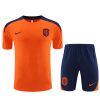 24/25 Netherlands Orange Training Kits - Image 2