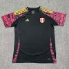 Fans Version 24/25 Peru away