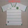 Fan version 24/25 Ireland Home