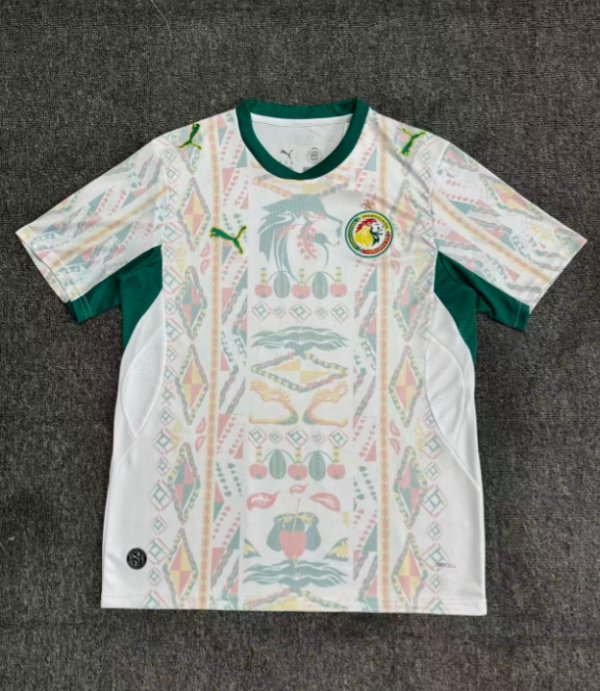 Fan version 25/26 Senegal home - Image 1