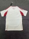 Fans 24/25 Chile away - Image 2