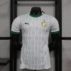 Player Version 24/25 Senegal Home