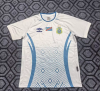 Fans Version 26/27 Congo away