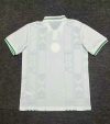 Fans Version 24/25 Nigeria away - Image 2