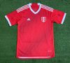 Fans Version Peru away 2022