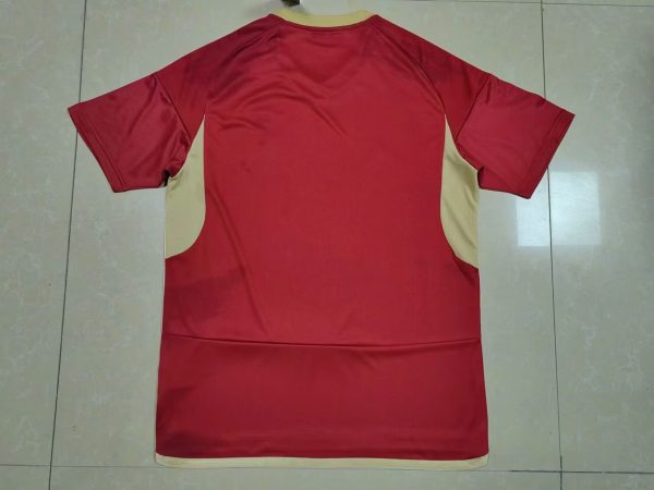 Fans Version 24/25 Venezuela Home Copa America - Image 2