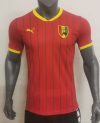 Player Version 24/25 Guinea Home