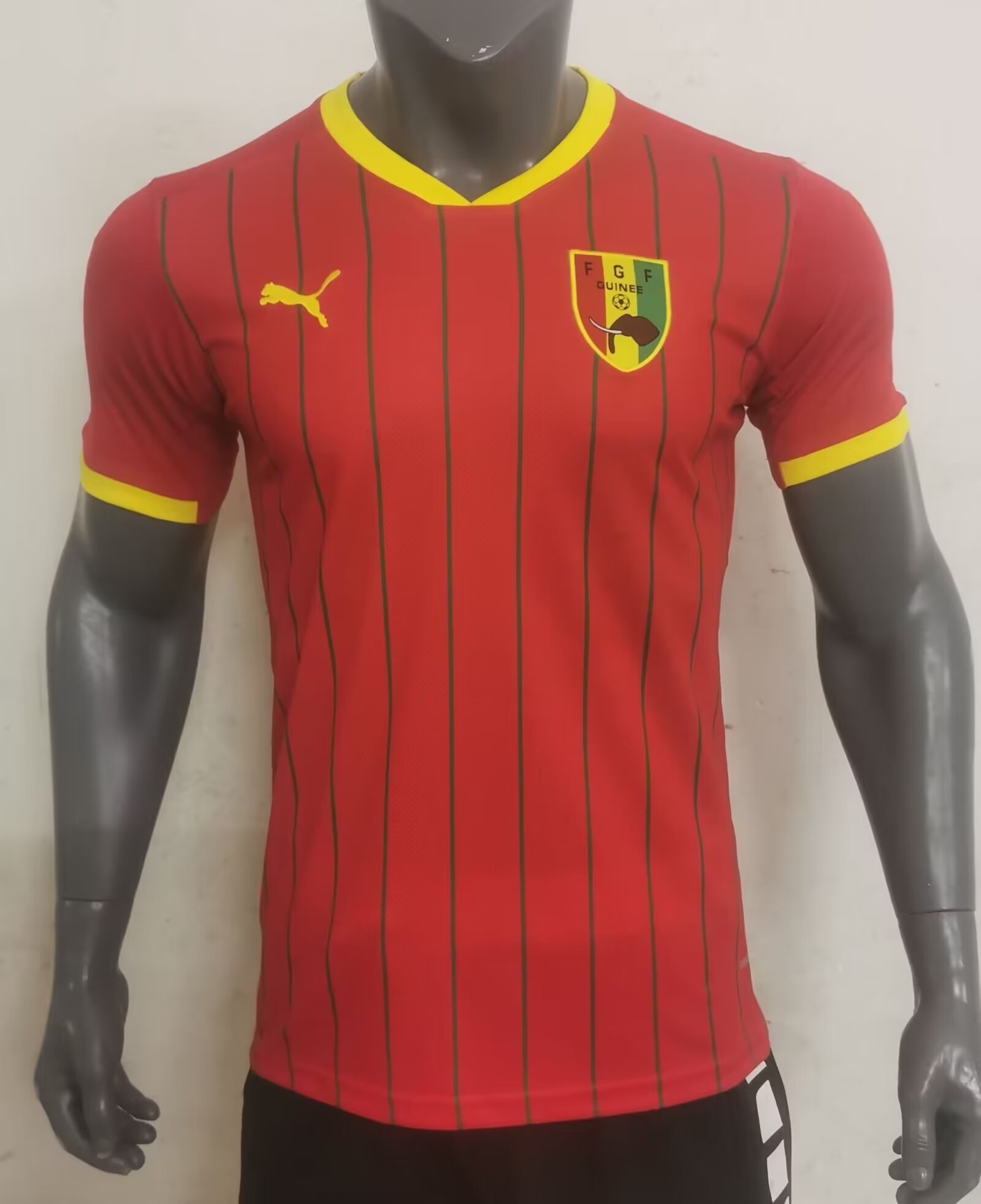 Player Version 24/25 Guinea Home Player Version 24/25 Guinea Home - Image 1