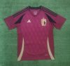 Fans Version 24/25 Belgium home
