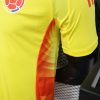Player Version 24/25 Colombia home - Image 8