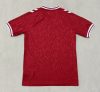 Fans version 24/25 Denmark Home - Image 2