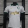 Player Version 24/25 Palmeiras away