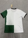 Fan version 25/26 Lisbon Special Edition White Green No Ads - Image 2