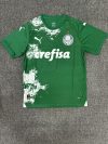Fans Version 24/25 Palmeiras special edition
