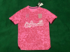 Fans Version 23/24 Palestine Soccer Jersey