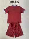 Adults kits 24/25 Norway home - Image 2