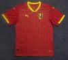 Fans version 24/25 Guinea Home